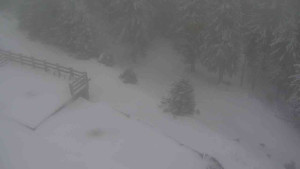 Sporthotel Kurzovní - Přístup na běžeckou trať - 1.1.2026 v 14:55