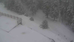 Přístup na běžeckou trať