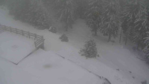 Sporthotel Kurzovní - Přístup na běžeckou trať - 1.1.2026 v 15:45