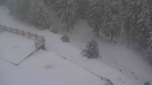 Sporthotel Kurzovní - Přístup na běžeckou trať - 1.1.2026 v 15:55