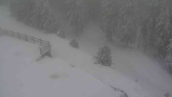 Přístup na běžeckou trať