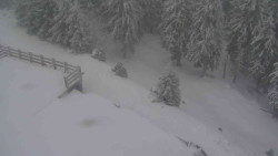 Přístup na běžeckou trať