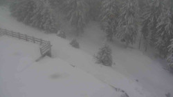 Přístup na běžeckou trať