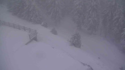 Přístup na běžeckou trať