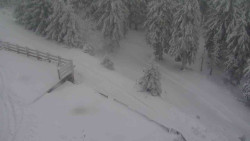 Přístup na běžeckou trať