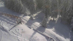 Přístup na běžeckou trať