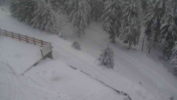 Přístup na běžeckou trať