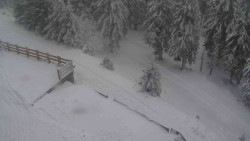 Přístup na běžeckou trať