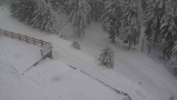 Přístup na běžeckou trať