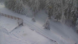 Přístup na běžeckou trať