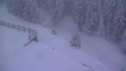 Přístup na běžeckou trať