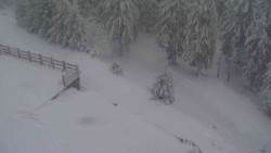 Přístup na běžeckou trať