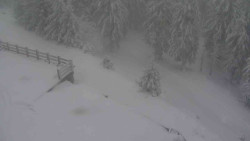 Přístup na běžeckou trať