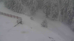 Přístup na běžeckou trať