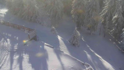 Přístup na běžeckou trať