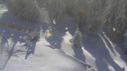 Přístup na běžeckou trať