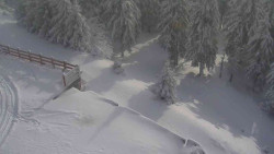 Přístup na běžeckou trať