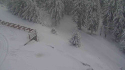 Přístup na běžeckou trať