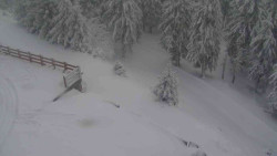 Přístup na běžeckou trať