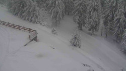 Přístup na běžeckou trať