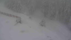 Přístup na běžeckou trať