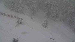 Přístup na běžeckou trať