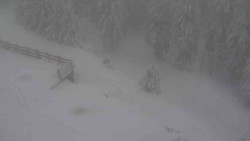 Přístup na běžeckou trať