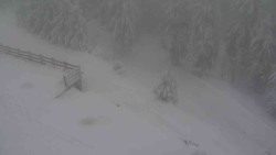 Přístup na běžeckou trať