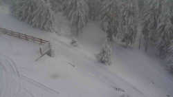 Přístup na běžeckou trať