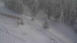 Přístup na běžeckou trať