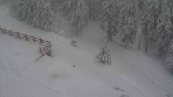 Přístup na běžeckou trať