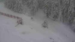 Přístup na běžeckou trať