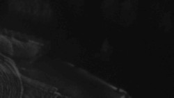 Přístup na běžeckou trať