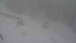 Přístup na běžeckou trať