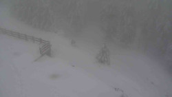 Přístup na běžeckou trať