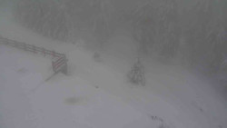 Přístup na běžeckou trať