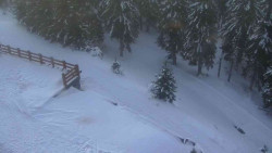 Přístup na běžeckou trať