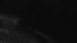 Přístup na běžeckou trať