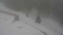 Přístup na běžeckou trať