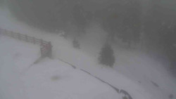 Přístup na běžeckou trať