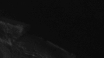 Sporthotel Kurzovní