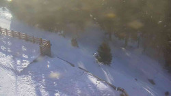 Přístup na běžeckou trať