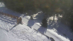 Přístup na běžeckou trať