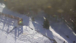 Přístup na běžeckou trať