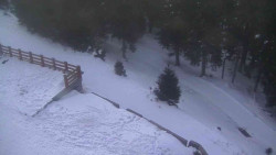 Přístup na běžeckou trať