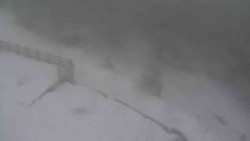 Přístup na běžeckou trať