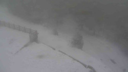 Přístup na běžeckou trať