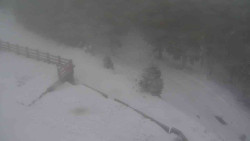 Přístup na běžeckou trať