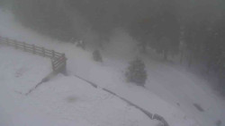 Přístup na běžeckou trať