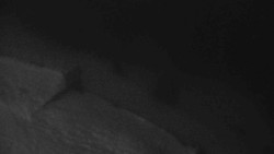 Přístup na běžeckou trať